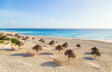 Learn About Local Festivals