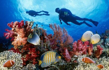 5 Fun Activities For Holidays